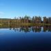 Wilderness-lake from my summer hiking one week alone in Finnish Lapland. East from Saariselkä Area at Wilderness of Koilliskaira.